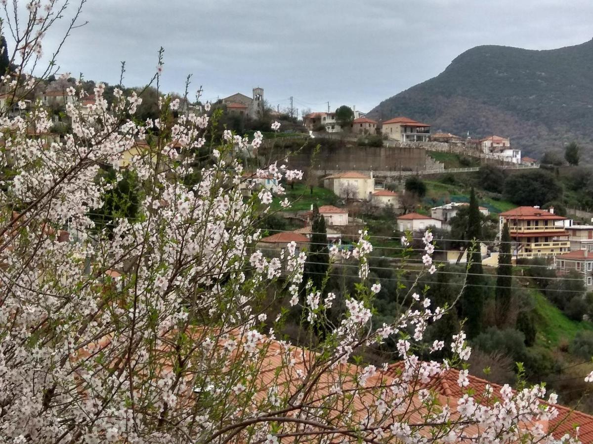 Mavrommátion Vintage House With A Fantastic View 아파트 외부 사진